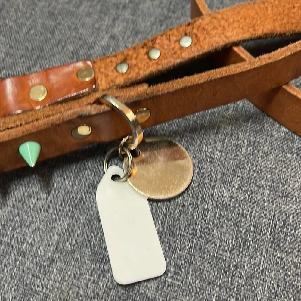 Nice Digs Original Spike Leather Dog Leash- Jungle Tan